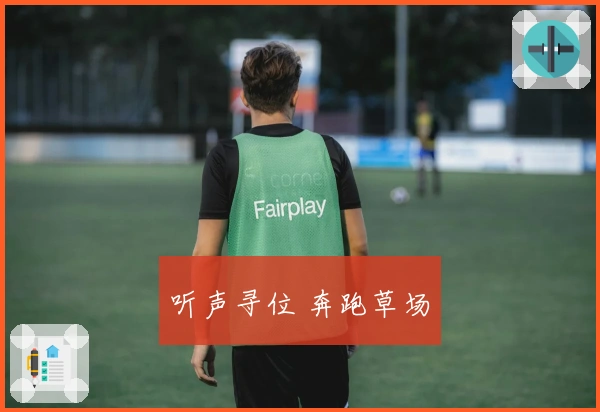听声寻位 奔跑草场