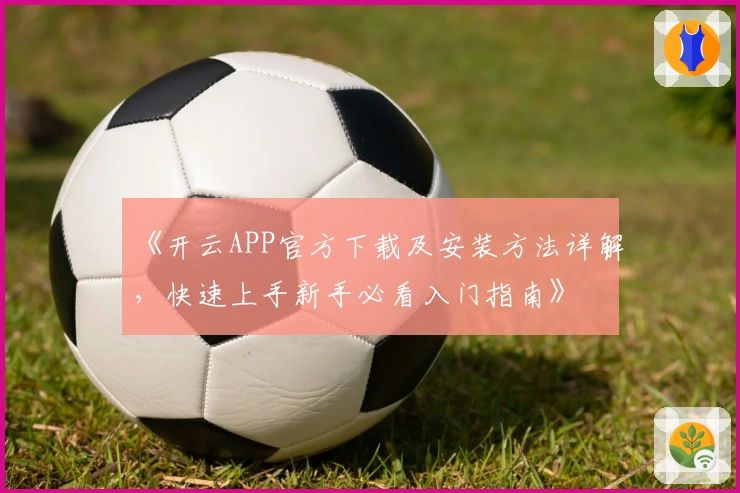 《开云APP官方下载及安装方法详解,快速上手新手必看入门指南》