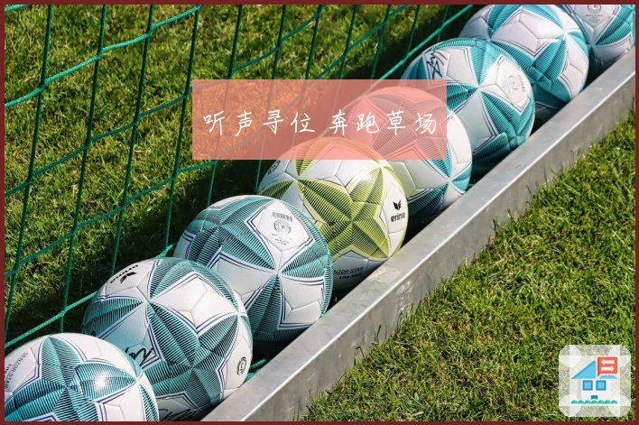 听声寻位 奔跑草场